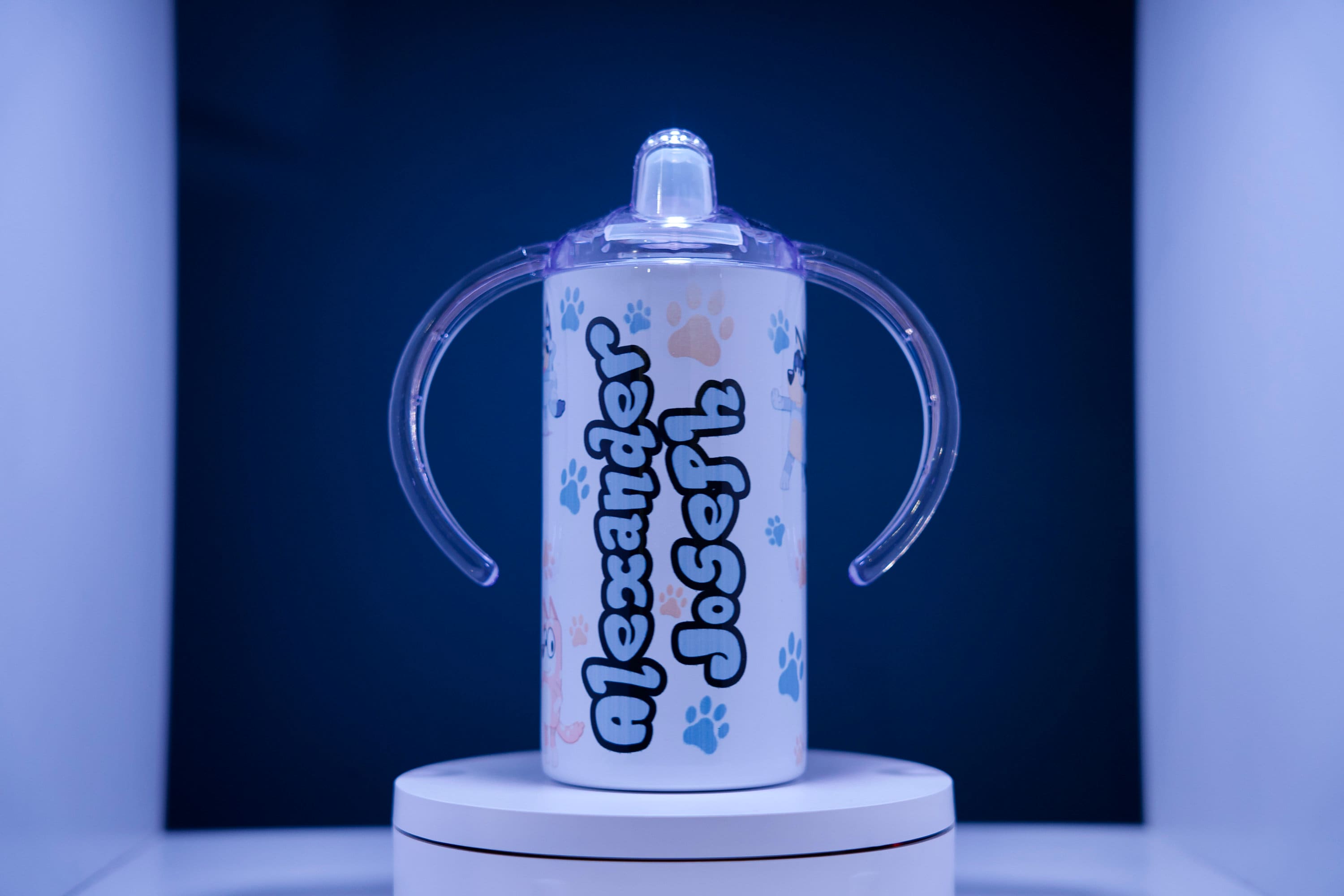 Bluey 12 oz Sippy Cup – J and F Creations