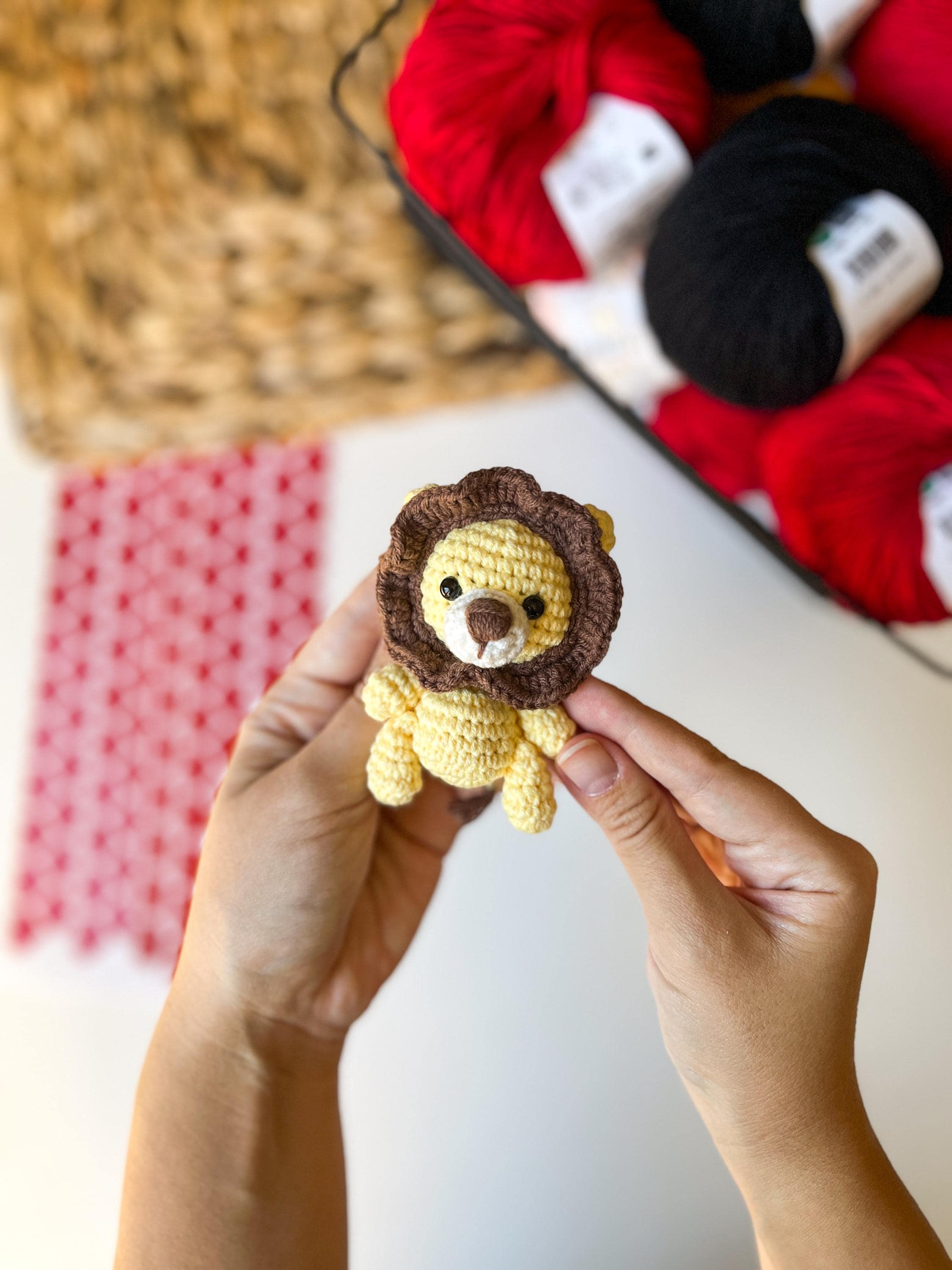 Animales A Crochet Fáciles Paso A Paso Cookie Box Tutorial Kit De