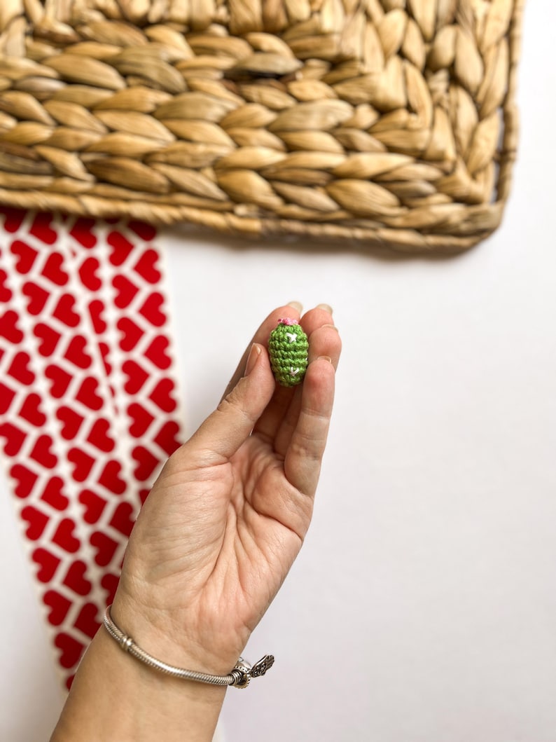 Puede incluir: Un peque&ntilde;o cactus verde tejido a crochet con flores rosas en la parte superior. El cactus est&aacute; siendo sostenido en una mano.