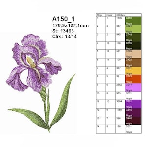 Può includere: Disegno ricamato di un iris viola con foglie verdi. Il disegno misura 178,9 mm per 127,1 mm e ha 13.493 punti e 13 colori.