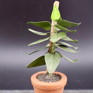 Tall House Plant with Green Leaves. Dollhouse Scale 1:12.