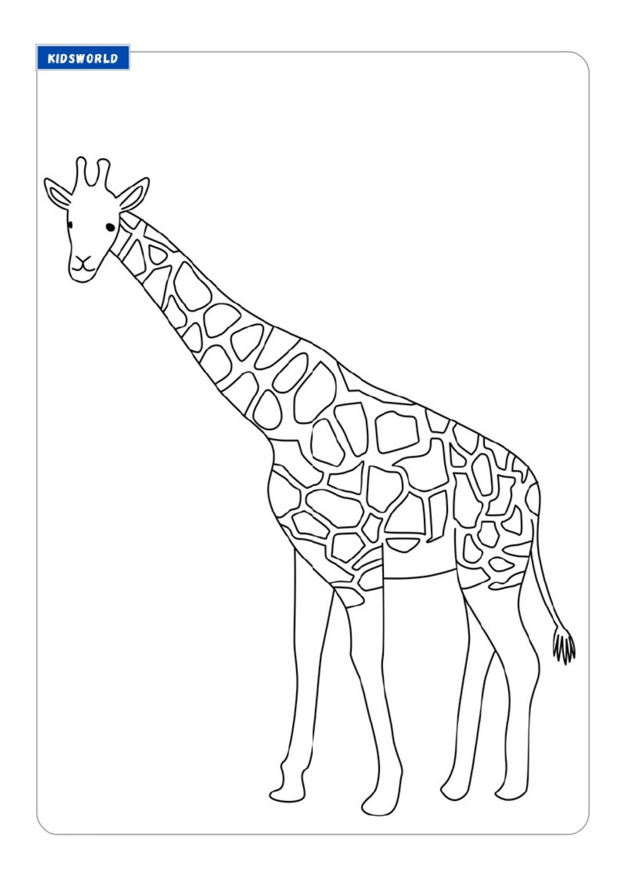 Animal Printable Coloring Pages for Kids 39 Pages Ages 3-12 Coloring