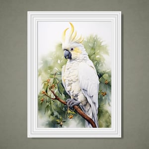 Arte de la pared de la cacatúa australiana, pintura de la acuarela de la cacatúa, decoración del hogar, pintura nativa del interior, arte australiano, cartel del pájaro cacatúa