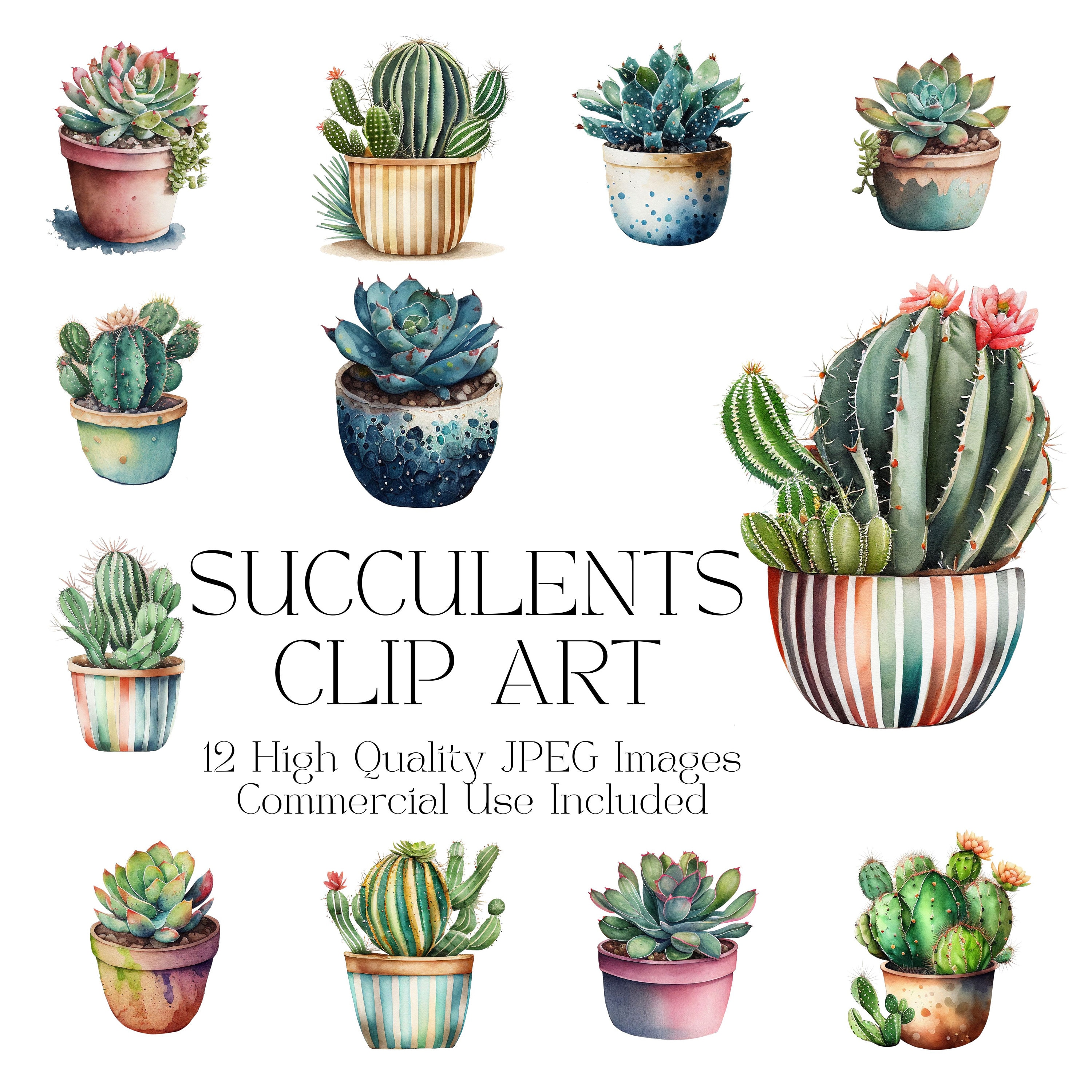 Succulents Clip Art  12 High Quality Jpegs  Clip Art  Scrapbooking   Card Making  Junk Journal  Digital Craft  Watercolor - Plant Art - Etsy