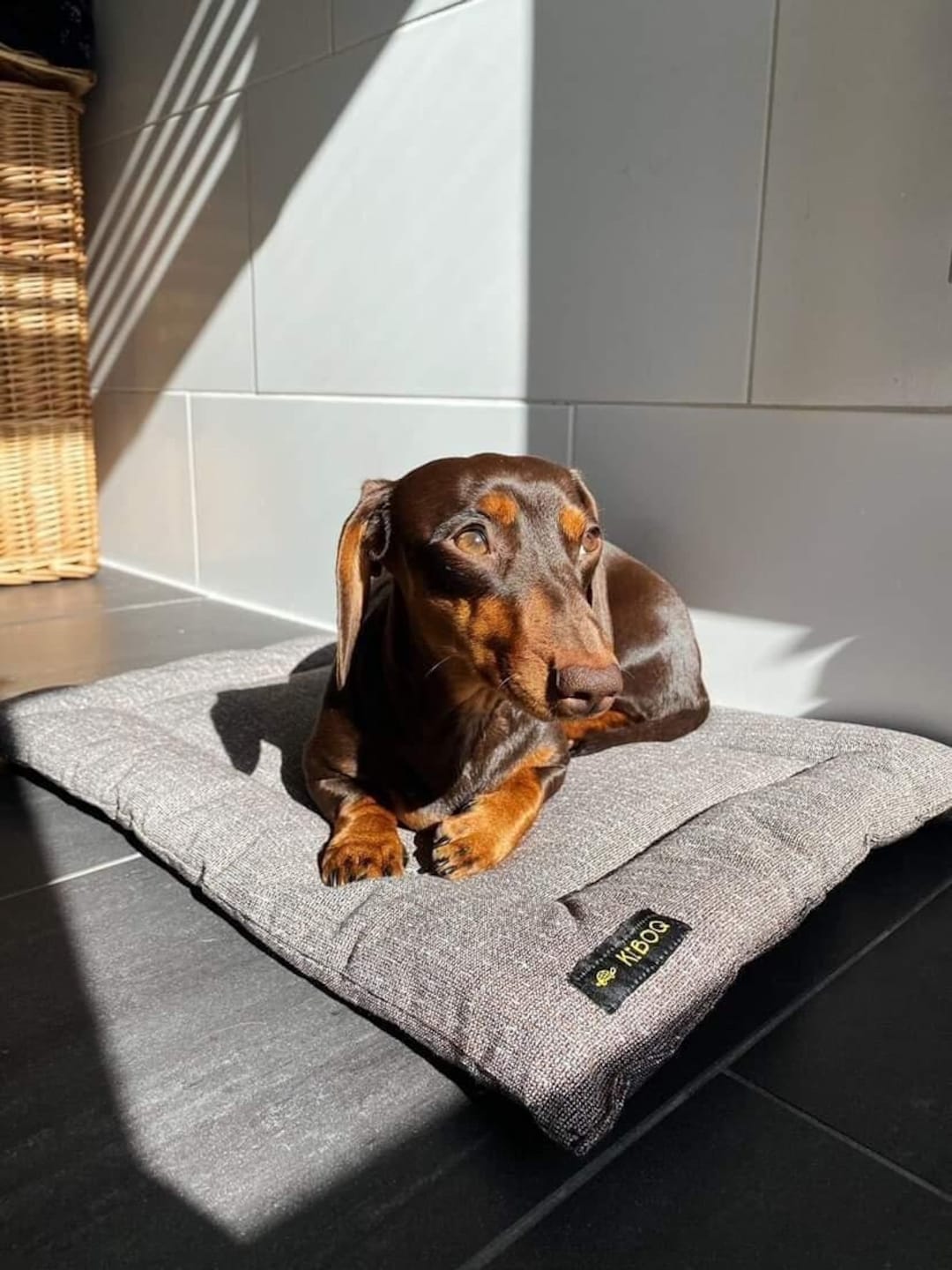 Dog Travel Mat. Multiuse Pet Mat. Foldable Pet Mat. Cat Bed. Etsy