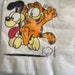 Garfield Birthday Party Plates – 9 Pack Retro Cartoon Character Paper Plates