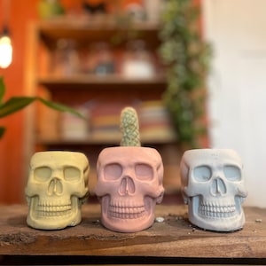Könnte beinhalten: Drei schädelartige Blumentöpfe in Gelb, Rosa und Blaugrau. Der rosafarbene Topf enthält einen kleinen Kaktus. Die Töpfe bestehen aus einem strukturierten Material und stehen auf einer Holzoberfläche. Der Hintergrund ist unscharf, mit Regalen und Grün.