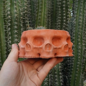 Könnte beinhalten: Ein terracottafarbener, schädelformiger Pflanztopf. Der Pflanztopf hat mehrere Totenkopfgesichter um seinen Umfang. Der Hintergrund zeigt einen grünen Kaktus mit scharfen Stacheln. Der Pflanztopf wird in der Hand einer Person gehalten.