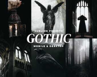 10 Gothic Aesthetic Lightroom-voorinstellingen voor mobiel en desktop, donkere voorinstellingen, horror-voorinstellingen, humeurige voorinstellingen, academische instellingen, Bookstagram-voorinstellingen