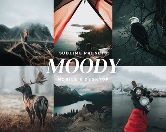 10 Moody Lightroom Mobile & Desktop Presets, Deep Blue, Cinematic, Earthy, Professional Landscape Photography Filters