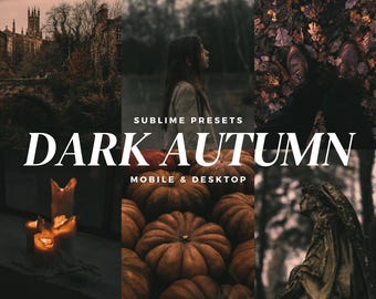 10 Dark Autumn Lightroom Mobile & Desktop Presets, Gothic, Moody Fall, Spooky, Horror, Halloween Filters