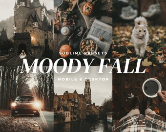 10 Moody Fall Lightroom Mobile & Desktop Presets, Dark Academia, Halloween, Gothic, Moody, Autumn Filters