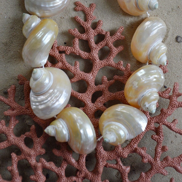 Statement conch necklace shell mermaidcore zeemeermin beach strand boho ibiza zomer
