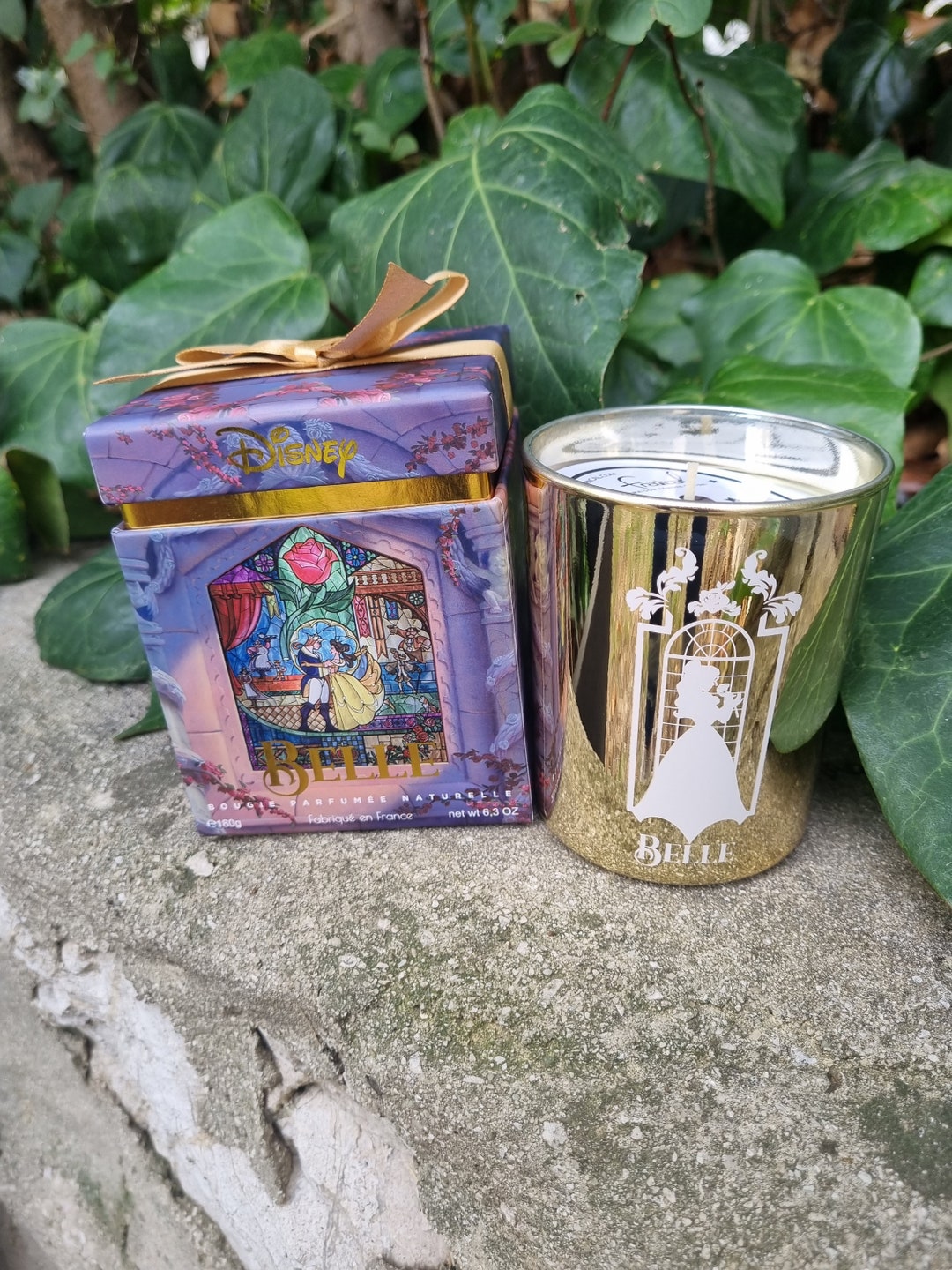 Scented Candle beauty and the Beast Etsy