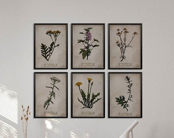 Plants, Herbs Wall Art, Set of 9, Nature art, Flowers, Prints. Latin description