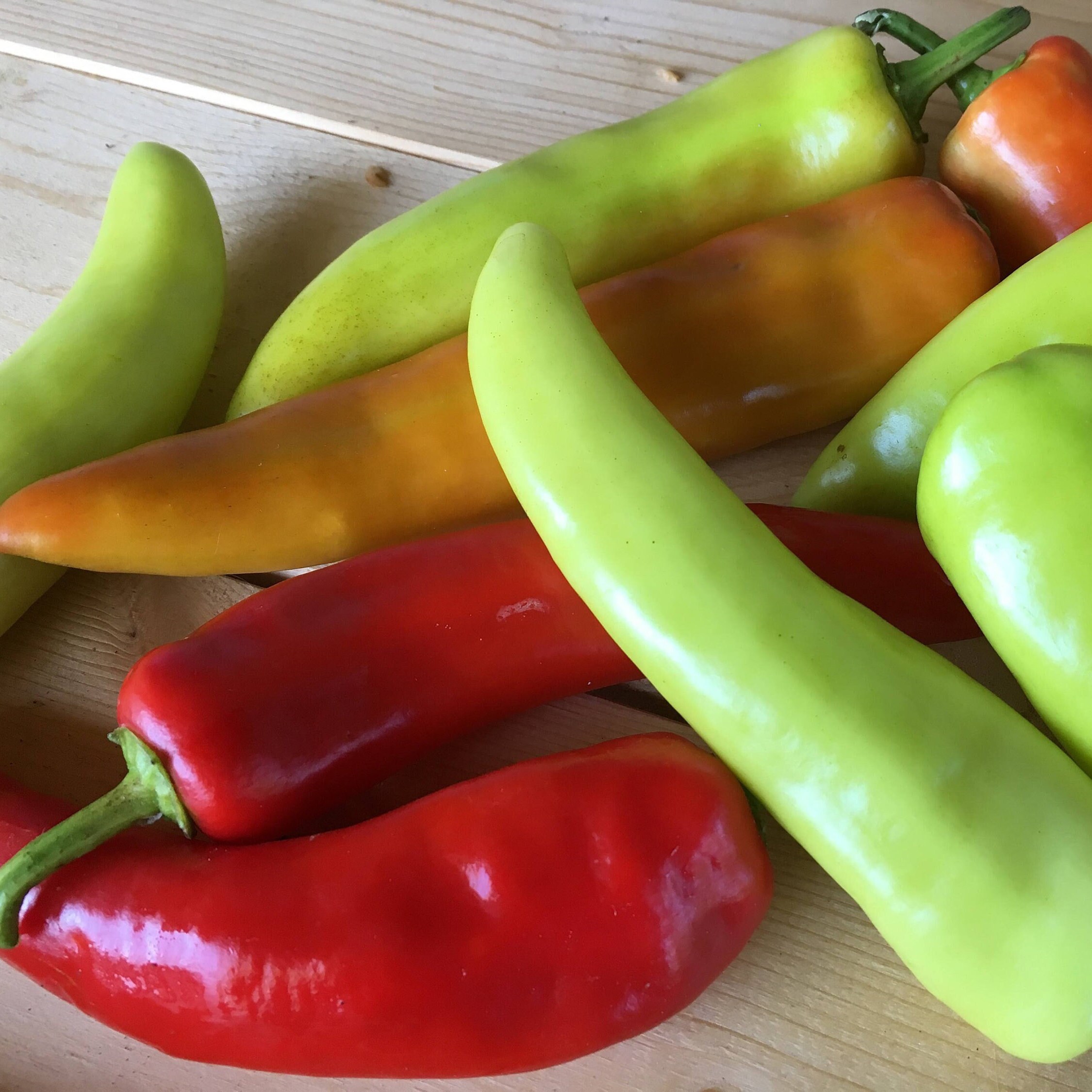 ORGANIC Hot Banana Pepper Seeds capsicum Annuum Non GMO Etsy