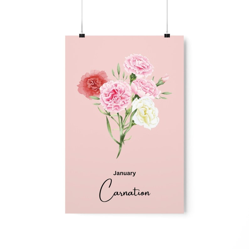 January, Carnation, Birth Flower, Birth Month Flowers, Flower Poster