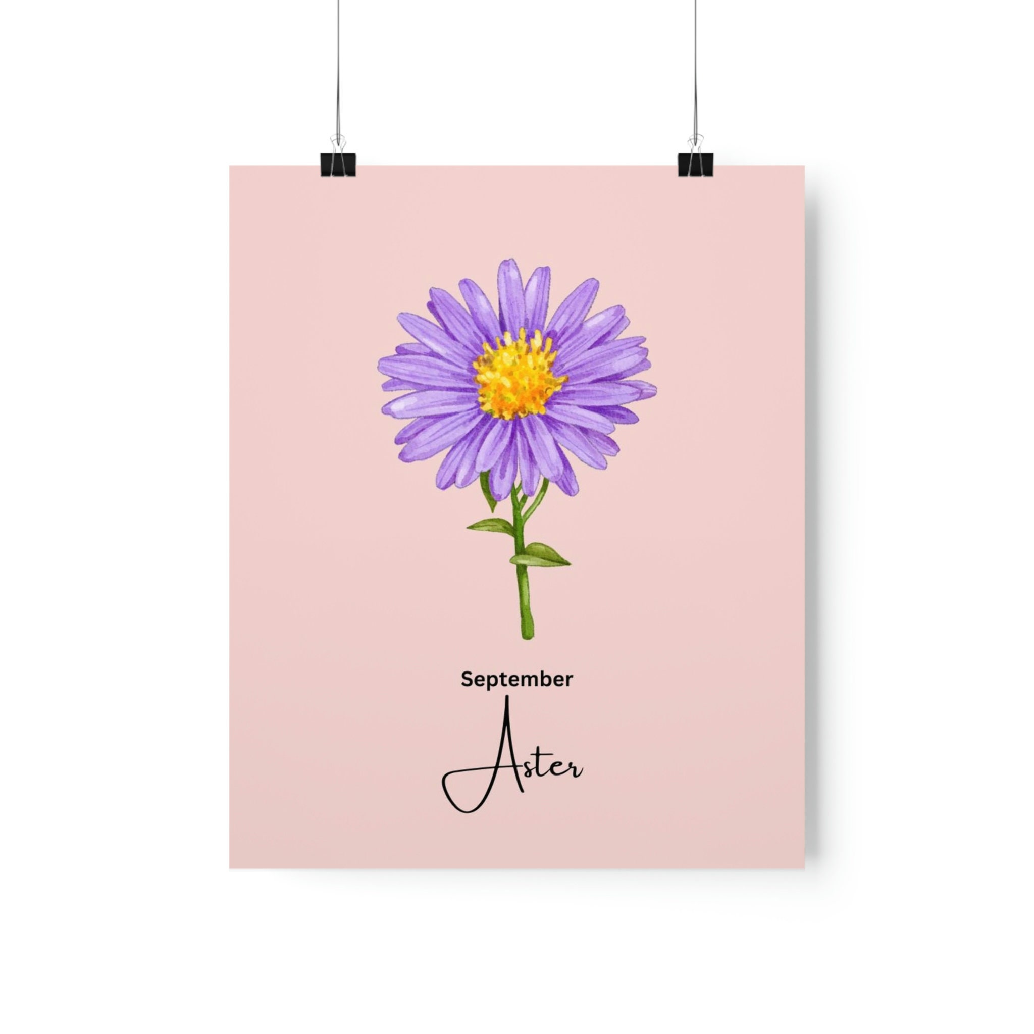 September, Aster, Birth Flower, Birth Month Flowers, Flower Poster