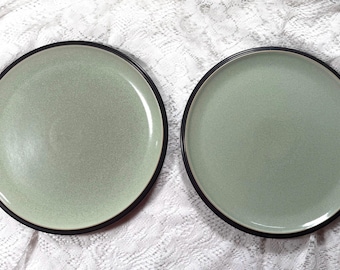 DENBY-LANGLEY Energy England Dinner Plate - Set of 2, Celadon Green, Dark Charcoal Underside & Trim, Stoneware