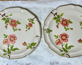 Sangostone Pink Blossom Dinner Plate - Set of 2, Pink Sakura Flowers, Tan Centers, Green Trim