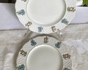 Vintage Royal Cauldon Bristol Ironstone "June Garden" Salad Plate - Set of 2, Blue, Brown Floral Panels, Green Verge