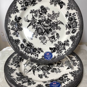 ROYAL STAFFORD Black Asiatic Pheasant Dinner Plate - Set of 4, Black Flowers, Scrolls Transferware - NEW