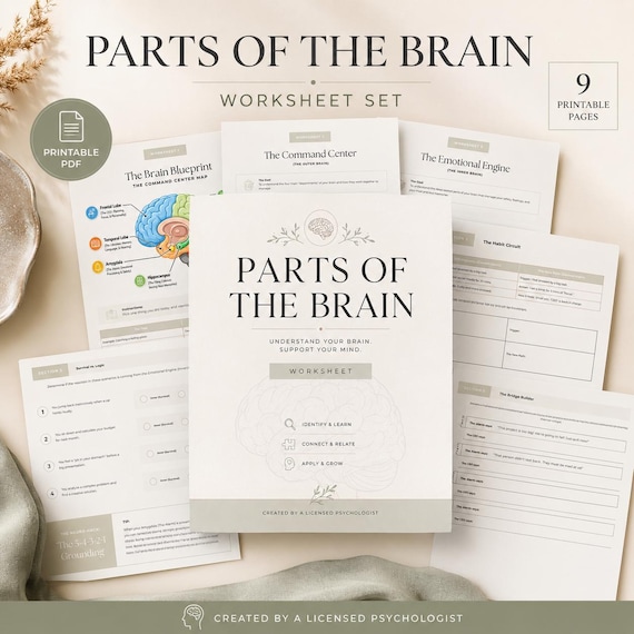 Parts of Brain Worksheets, Printable Anatomy Activities for Kids, Brain Parts Study Guide, Instant Download PDF
