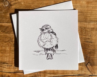 Pen sketch robin card