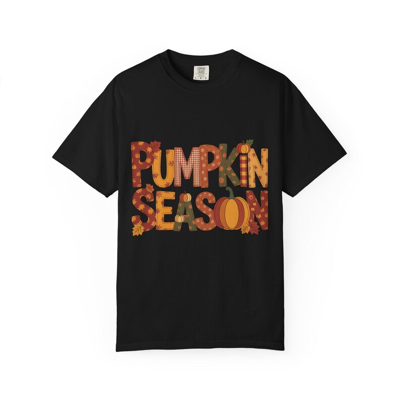Pumpkin Season Shirt Comfort Colors Fall Tee with Applique Style Text Cozy Autumn Aesthetic T-Shirt image 10