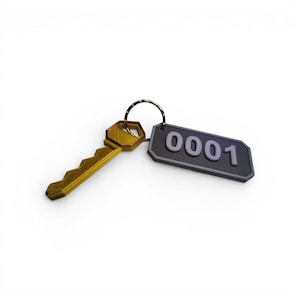 May include: A gold-coloured key with a matching key tag. The tag is black with the number "0001" in white. The key and tag are connected by a silver ring. The key has a unique, textured design.