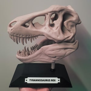 T-Rex Skull
