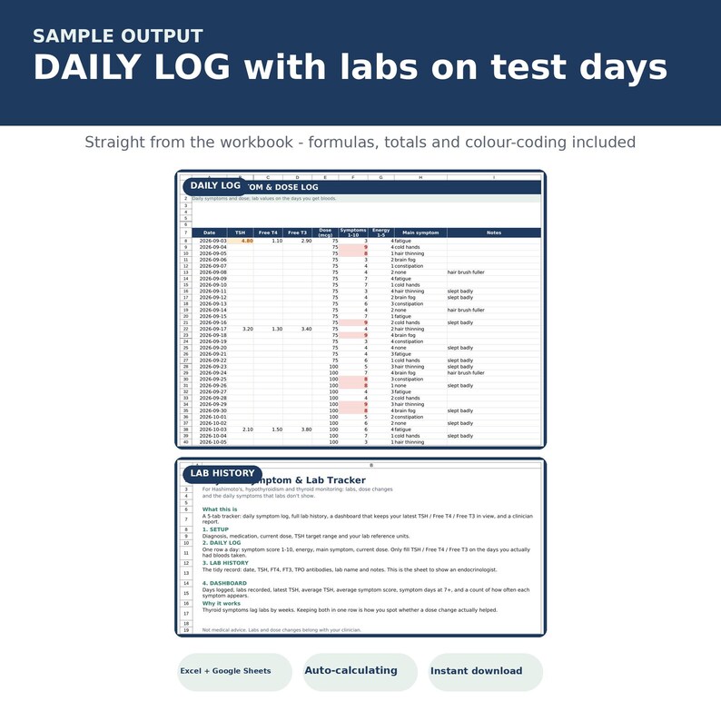 Thyroid Tracker Spreadsheet | Hypothyroidism & Hashimoto's Symptom Log, TSH T4 T3 Labs, Dose History, Doctor Report | Excel Google Sheets image 4