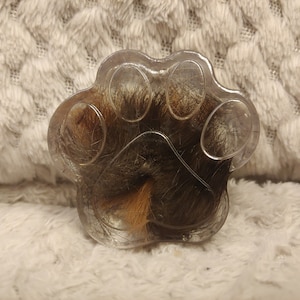 Clear Resin Cast Preserved Cat/Dog Fur/Ashes Memorial Paw Print Ornament 5.5cm or 10cm - Made to Order, scattered fur