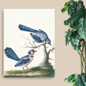 Home Gift Blue Jays, North American Birds, Bird Wall Art, Home Decor, Bird Painting, Healing Wall Art, Canvas