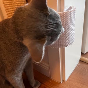 May include: A gray cat interacting with a white cat scratcher mounted on a white door frame. The scratcher has numerous small, white bristles. The cat is facing the scratcher, with its head and front paws visible. The floor is hardwood.