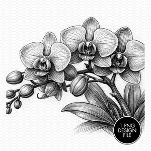 May include: Detailed black and white illustration of an orchid plant. The image features several open blooms, buds, and leaves, all rendered with intricate line work. A circular graphic in the bottom right corner reads "1 PNG DESIGN FILE."