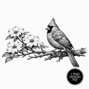 May include: Black and white illustration of a cardinal bird perched on a branch with dogwood flowers. The bird has detailed feathering and a prominent crest. The image includes a circular graphic that says "1 PNG DESIGN FILE".