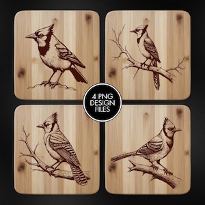May include: Four square wooden coasters with a light wood grain pattern. Each coaster features a detailed illustration of a blue jay. A circular graphic in the center reads "4 PNG DESIGN FILES".