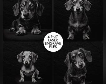 May include: Four black and white images of Dachshund puppies in various poses. The puppies have long ears and short legs. The images are set against a dark background. Text on the image reads "4 PNG LASER ENGRAVE FILES".