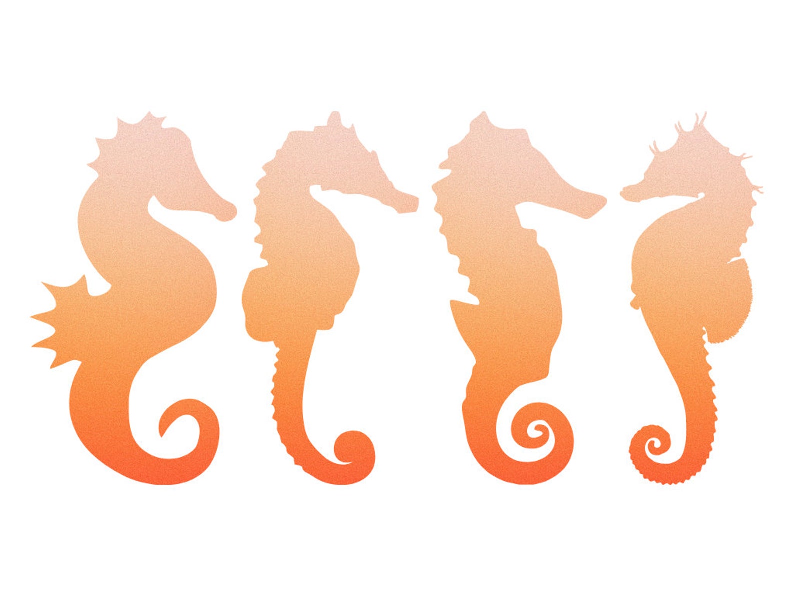 Canva Sea Horse Template Editable Sea Horse Template Canva Etsy
