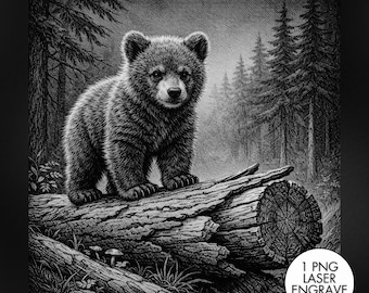 Bear Laser Engraving PNG, Slate Engraving PNG, Laser Burning, Laser Ready, Slate Coaster PNG, Laser Burn File, LightBurn