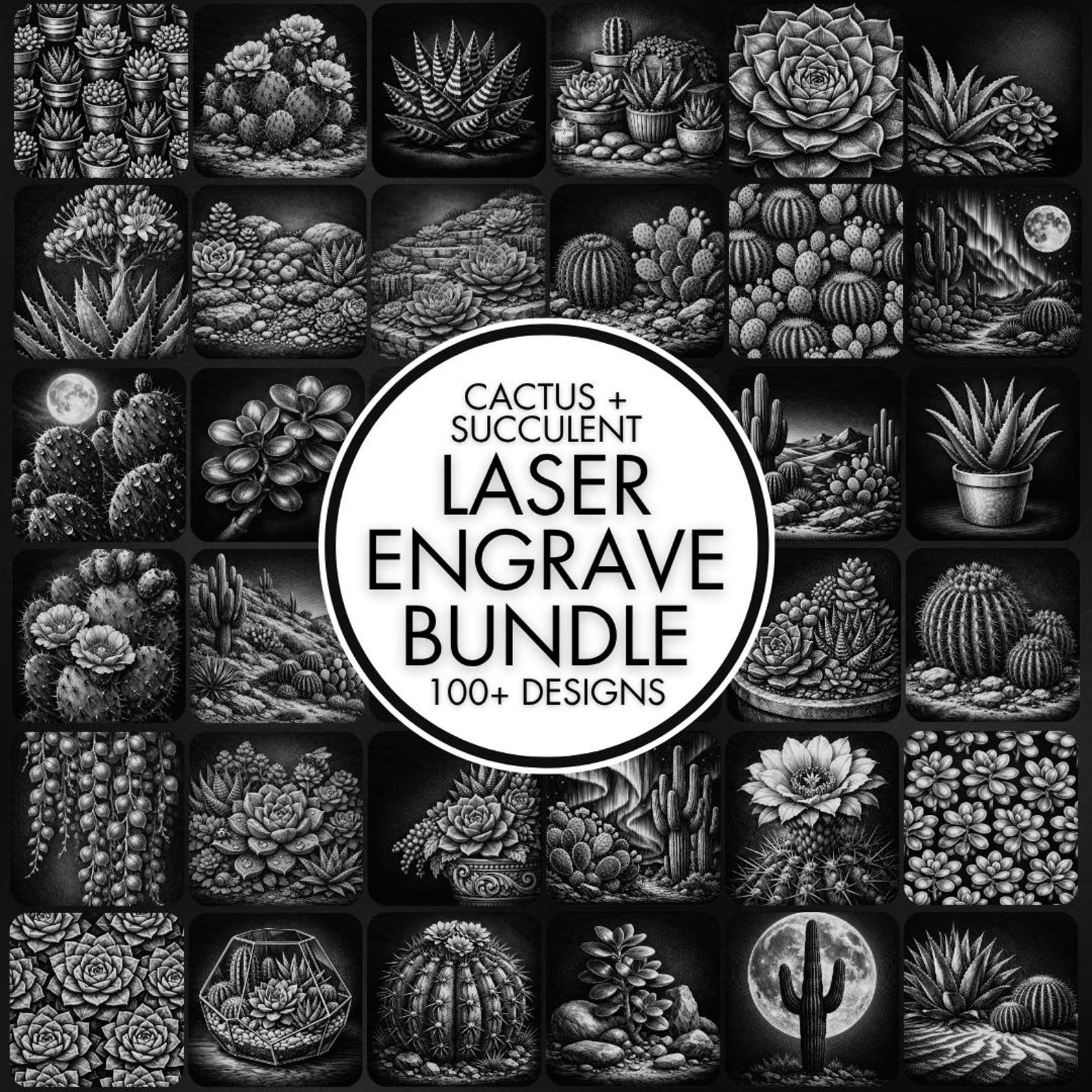 100+ Cactus and Succulent Laser Engraving PNG Files for Slate Coaster ...
