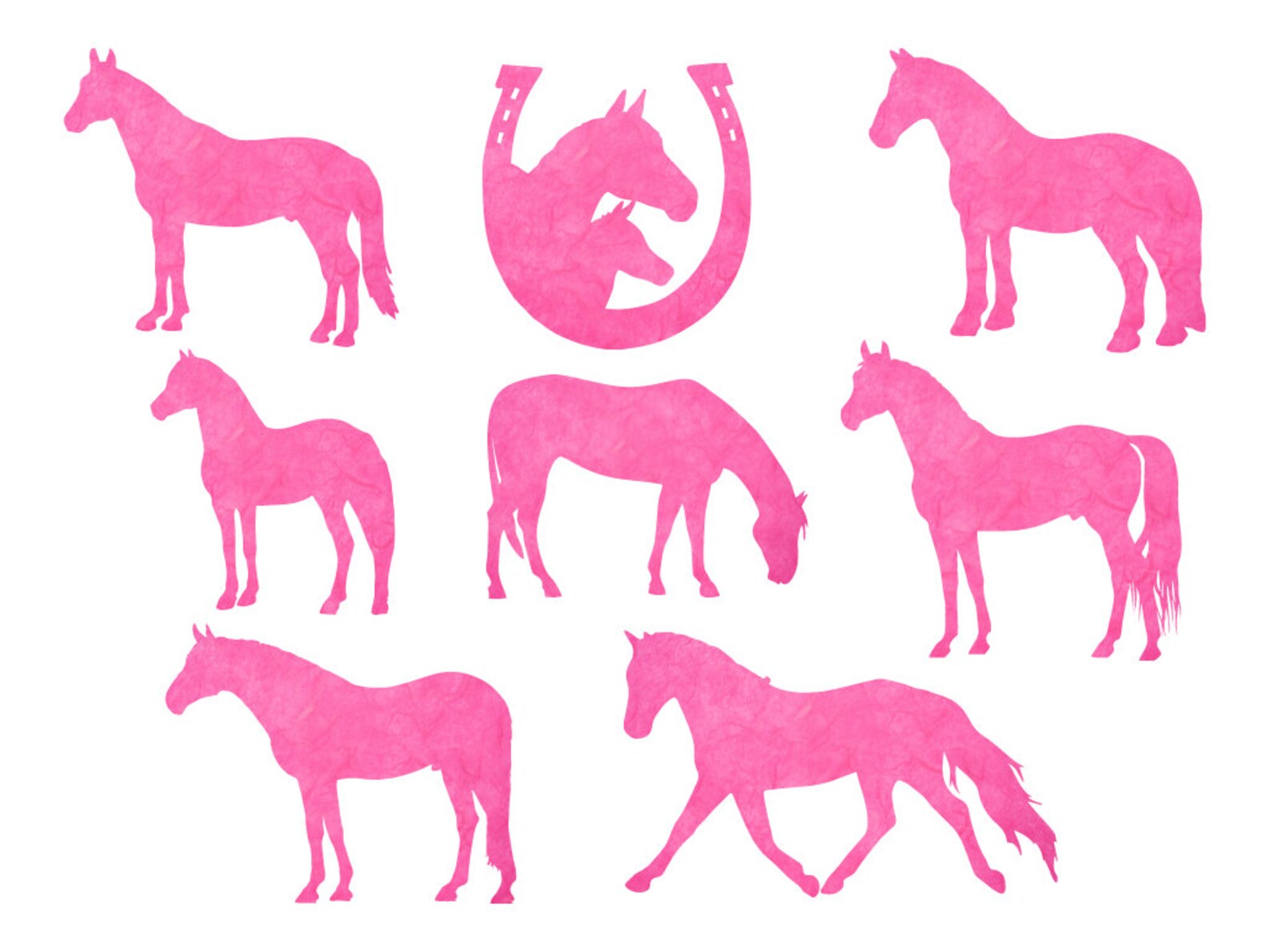 Canva Horse Template Editable Horse Template Canva Template Etsy Canva Horse Template Editable Horse Template Canva Template Etsy