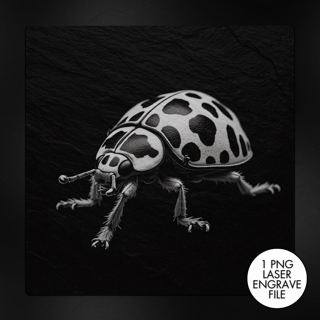 Lady Bug Laser Engraving PNG, Slate Engraving PNG, Laser Burning, Laser ...