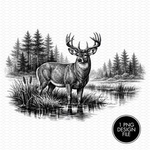 May include: A monochrome illustration of a deer standing in water, with a forest in the background. The deer has large antlers and is surrounded by reeds and trees. The image is a 1 PNG design file.