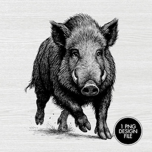 May include: Black and white illustration of a wild boar, rendered in a detailed, realistic style. The boar is depicted in motion, with its tusks visible, and the image includes a circular graphic with the text "1 PNG DESIGN FILE".