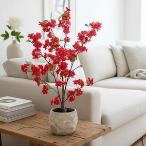 Könnte beinhalten: Ein helles Wohnzimmer mit einem cremefarbenen Sofa, Kissen und einer beigen Decke. Ein kleiner Holztisch trägt eine Pflanze mit roten Blüten. Ein Stapel Bücher und ein runder Teppich vervollständigen die Szene und schaffen eine gemütliche Atmosphäre.