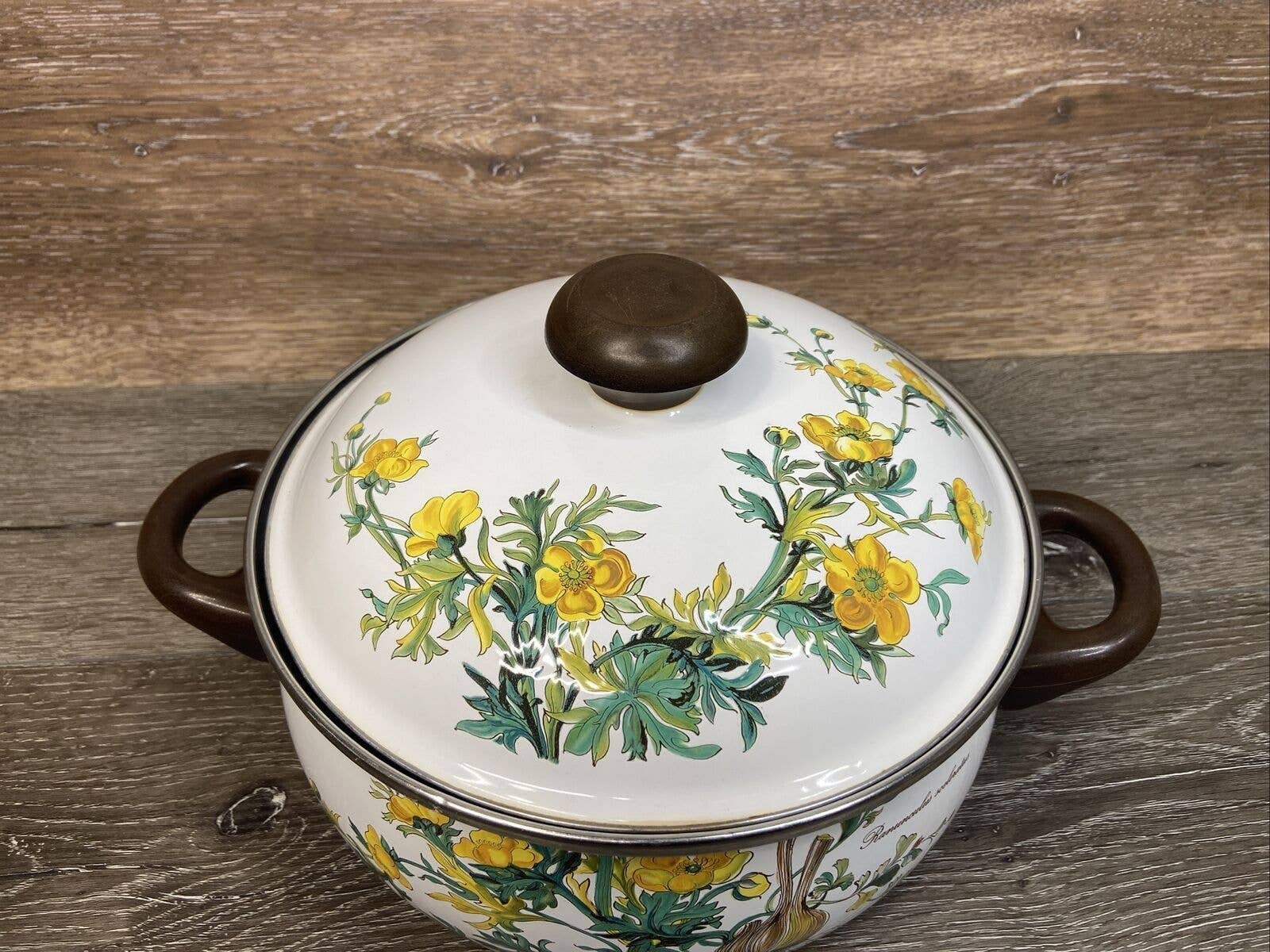 Villeroy & Boch Botanica Enameled Metal Cooking Pot With Lid Etsy