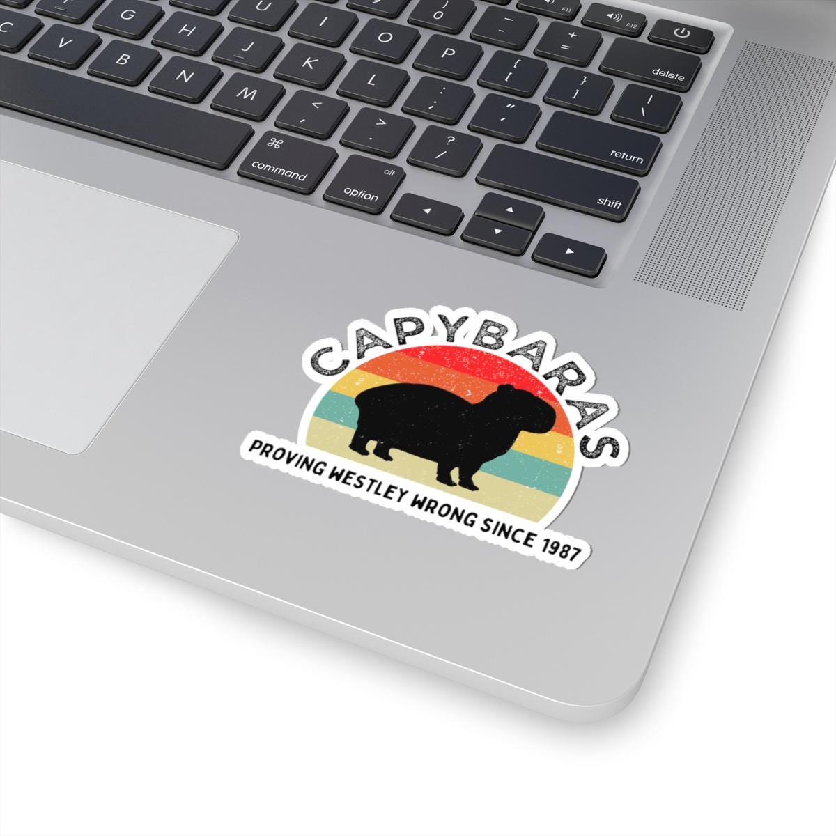Princess Bride Rous Sticker Funny Capybara Sticker, Proving Westley Wrong Princess Bride Sticker ...