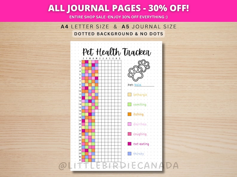 Pet Health Tracker - PRINTABLE Journal Page - Symptom Tracker - Pet Tracker - Track Pet Health - Dog Health - Cat Health - Sickness Tracker image 1